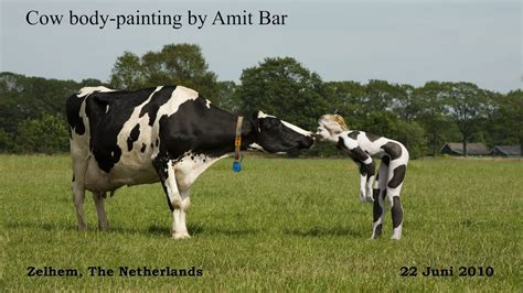 Art Video Cow Body Painting By Amit Bar YouTube