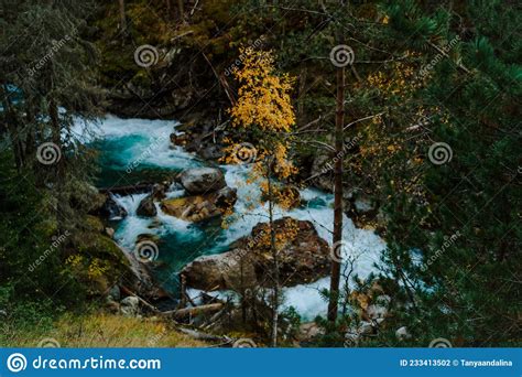 A Clear Blue Mountain River Flows In An Autumn Mountain Forest Stock