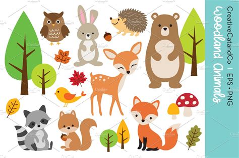 Woodland Animal Illustration Set Animal Illustrations ~ Creative Market
