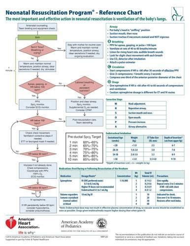 Neonatal Resuscitation Program Reference Chart Nrp Buy Online In