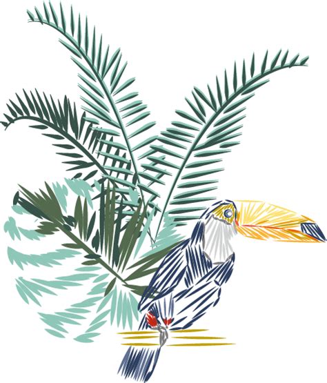 Birds In Paradise — Ornella Gallo Di Fortuna