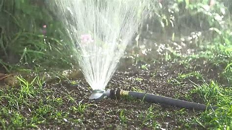 Here's what you need to do to keep your why you should water your lawn. Watering New Grass Seed - Learn How Long, How Often, How ...