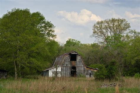 Forgotten Barn 1 Photograph By Douglas Barnett Fine Art America