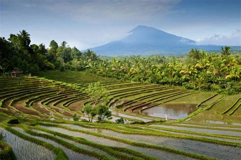 Marvels Of The Island Nation An Encompassing Tour Of Indonesia Zicasso