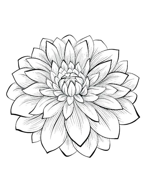 On this page you will find images of bouquets made up of a wide variety of flowers: Single Flower Coloring Pages at GetColorings.com | Free ...