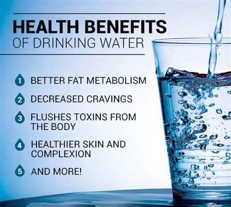 crazy water facts i bet you don t know infographic benefits of drinking water drinking