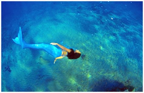 About Hawaii Mermaid Adventures Our Mission Is To Use Our Voice