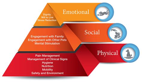 Top 12 Things You Should Know About Aahas End Of Life Care Guidelines