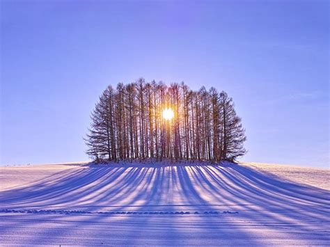 Three Ways To Celebrate Winter Solstice Isthmus Madison Wisconsin