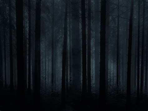 Horror Forest Background For Photoshop Nature Grass And Foliage