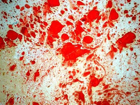 Blood Texture 100 Free Images Psddude