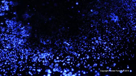 Luminol Spray Youtube