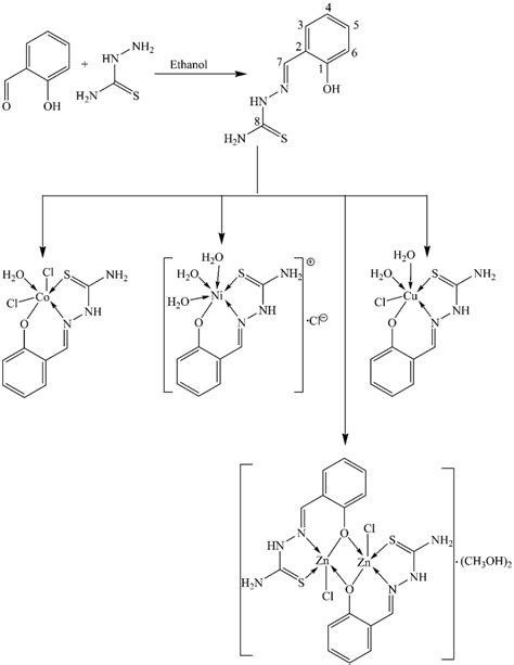 Scheme 1 Synthetic Scheme For The Ligand And M Ii Mn Co Ni Cu