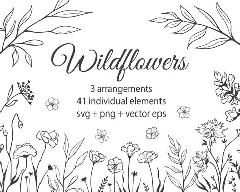 Wildflowers Svg Hand Drawn Floral Svg Wild Flowers Etsy