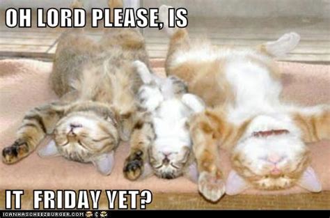 Oh Lord Please Is It Friday Yet Lolcats Lol Cat Memes Funny