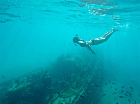 snorkeling through shipwrecks in barbados carrie gillaspie cool places to visit barbados