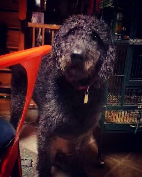 Disqus - General Hospital on Soap Central | GH news, recaps, updates