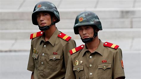 Parasites As Long As 27cm Found In Defecting North Korean Soldier