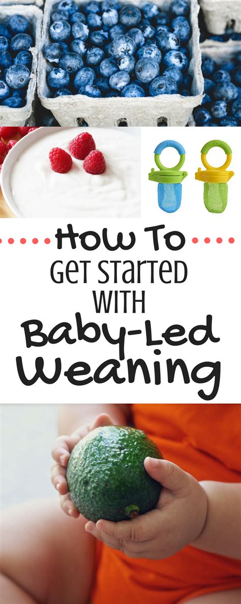 Your baby is about four months old, you are finally used to breastfeeding and following his feeding schedule, but like all things involving infants and children. How to Get Started with Baby-Led Weaning | Baby led ...
