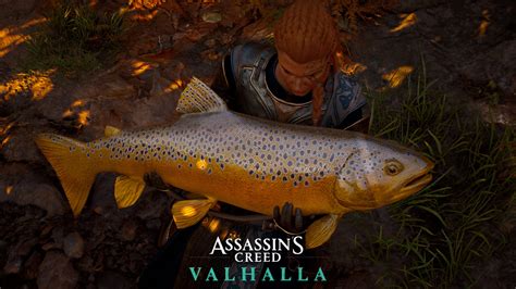 Assassin S Creed Valhalla Bullhead Trout For Njal From Here You Can