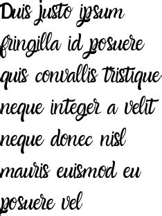 Download the amazon font by manfred klein. Amazone Script (Font) by Mindtype Co. · Creative Fabrica