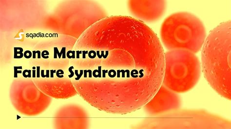 Bone Marrow Failure Syndromes Hematology Animation Medicine V