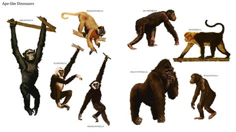 Early Apes And Monkeys Row 1 Oreopithecus Propliopithecus