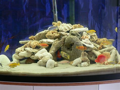 Cut pvc tube to the desired size and into as many pieces as you would like. cichlids.com: Coral Caves