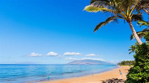 Maui Beach Wallpapers Top Free Maui Beach Backgrounds Wallpaperaccess