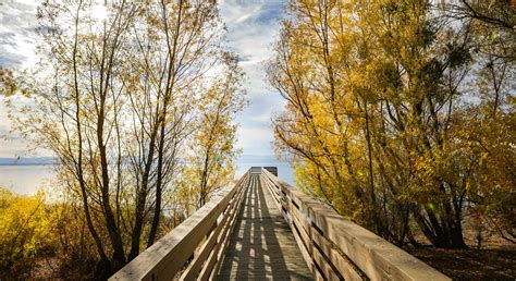 Public Health | Lake County, CA