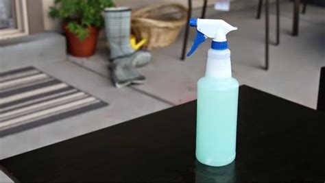 Do It Yourself Divas Video Tutorial Diy Natural Windex With Essential