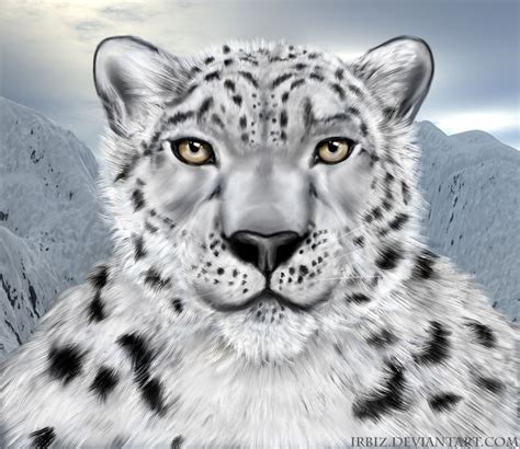 Snow Leopard Face By Irbiz On Deviantart