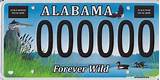 Pictures of Alabama State License Plate