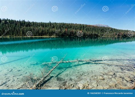 Turquoise Lake Valley Of The Five Lakes Jasper National Park Back
