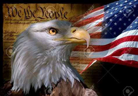 Bald Eagle American Flag Photos Image Wallpapers Hd