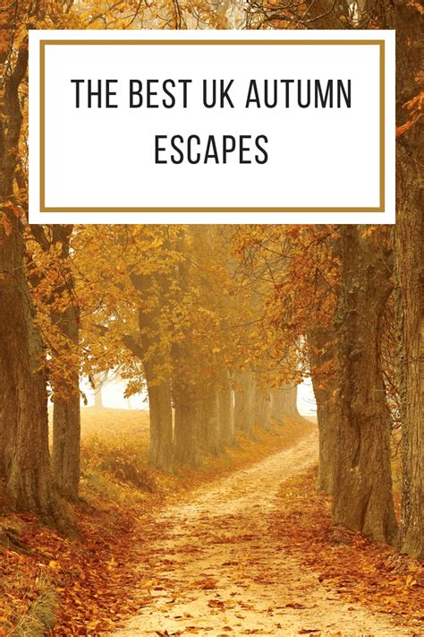 The Best Uk Autumn Escapes Autumn Escape Half Term Activities