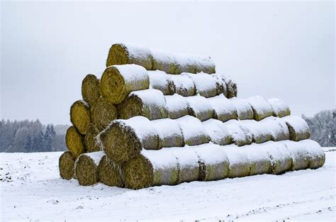 Hay Bales Free Stock Photo Public Domain Pictures