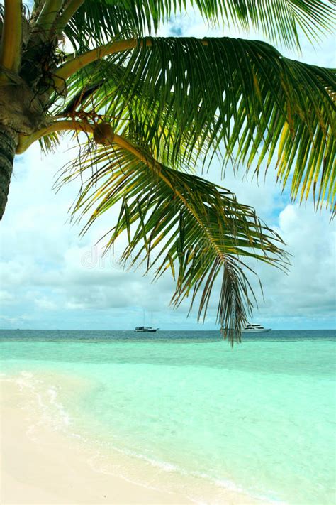 Tropical Island Beach Stock Photo Image Of Island Paradise 9616788
