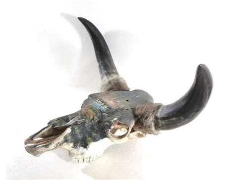 Handpainted Bison Skull Vintage Taxidermy Large American Etsy