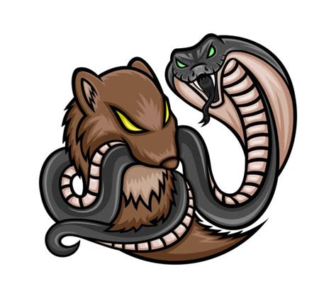 Mongoose Vs Cobra Drawing