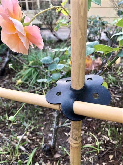 Bamboo Trellis Connectors For Diy Bamboo Structures