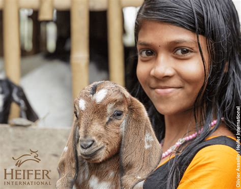 9 Reasons Heifer International Will Save Our World Global Impact