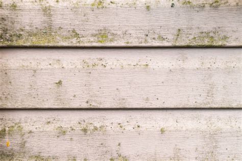 Dirty House Siding Stock Photos Pictures And Royalty Free Images Istock