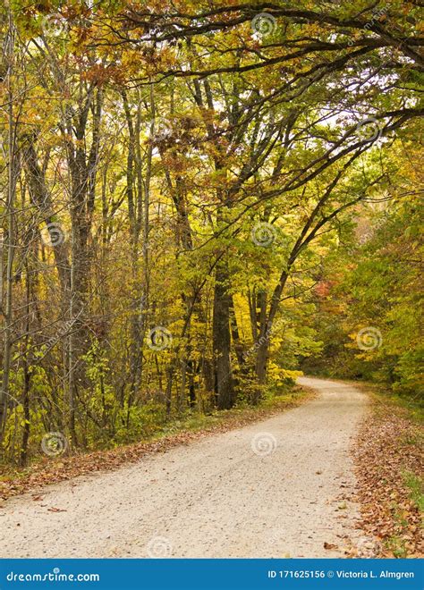 A Narrow Gravel Path Leading To A Dark Forest Stock Photography