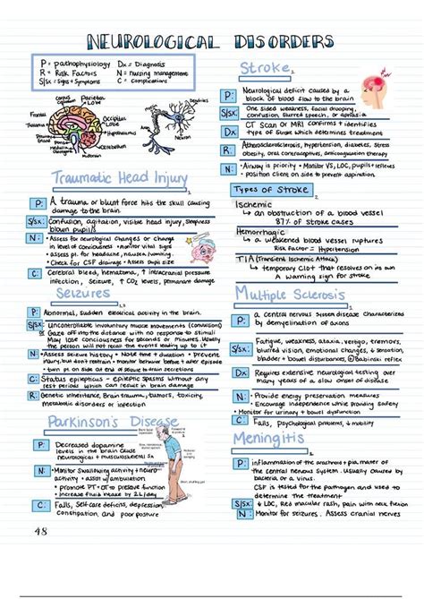 Med Surg Basics Bundle Nursing Study Guide Nursing Cheat Sheet Notes