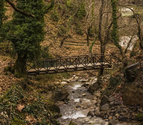 Small Wooden Bridge Over A Stream In Forest At Winter Stock Photo