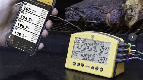 Discovernet The Best Wireless Grill Thermometers Of 2022