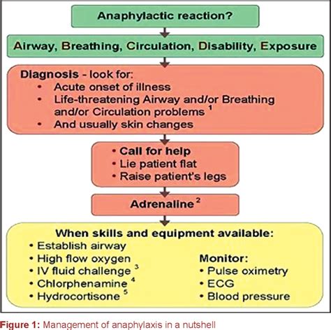 Pdf Anaphylactic Shock Management In Dental Clinics An Overview
