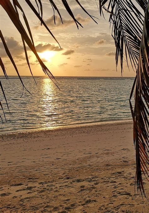 Tropical Maldives Beach Colorful Ocean Beach Sunset Stock Image