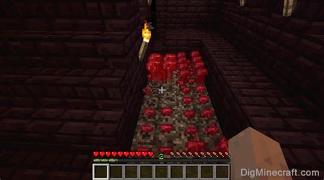 How To Make A Nether Wart In Minecraft